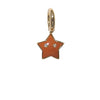 Star Charm (medium)